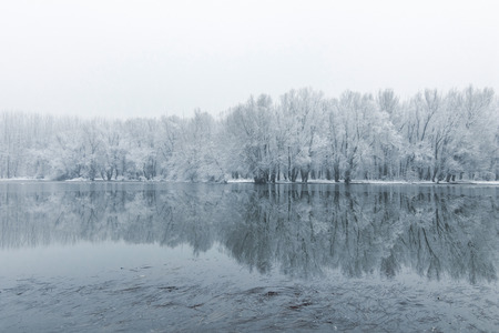 Winter lake scene reflecting in the waterの写真素材
