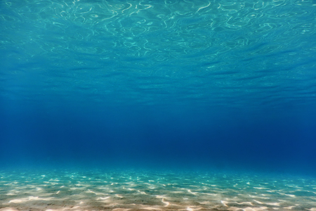Sandy sea bottom Underwater backgroundの写真素材