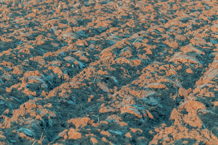 Plowed Field Ready For New Crops, Agricultural Backgroundの写真素材