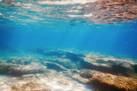 Underwater Scene Sunlight, fish Underwater Life.の写真素材