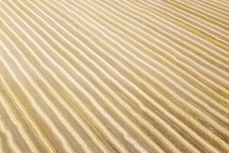 Areal view of crop fields in sunny summer day. Wheat Harvest.の写真素材