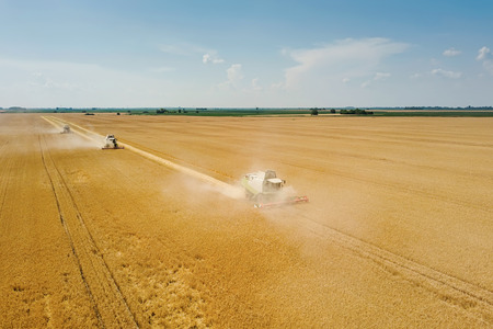 Combine harvester working on a wheat field. Combine harvester Aerial view.の写真素材