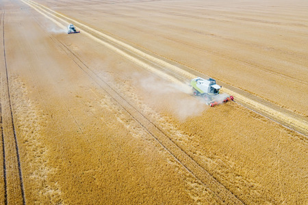 Combine harvester working on a wheat field. Combine harvester Aerial view.の写真素材