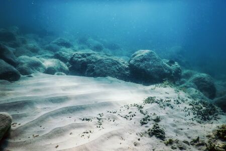 Sea Life Underwater Rocks Sunlight, Underwater Lifeの写真素材