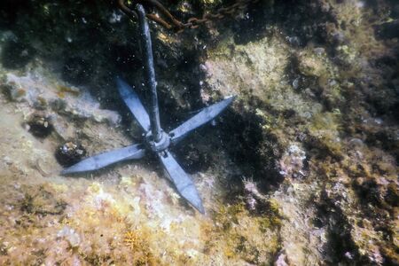 Anchor Lying on the Seabed Underwater Lifeの写真素材