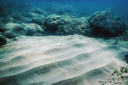 Sea Life Underwater Rocks Sunlight, Underwater Lifeの写真素材