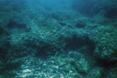 Sea Life Underwater Rocks Sunlight, Underwater Lifeの写真素材