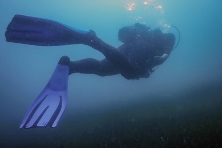 Scuba Diver Swimming Underwater Explores Reef and Examines Seabedの写真素材