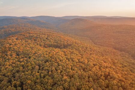 Autumn forest colorful trees and leafs aerial viewの写真素材