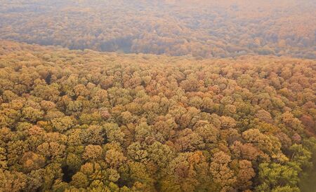 Autumn forest colorful trees and leafs aerial viewの写真素材