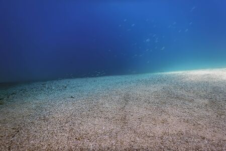 Underwater Scene Sunlight, fish Underwater Life.の写真素材