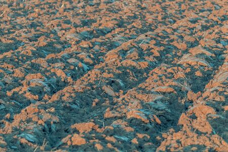 Plowed Field Ready For New Crops, Agricultural Backgroundの写真素材