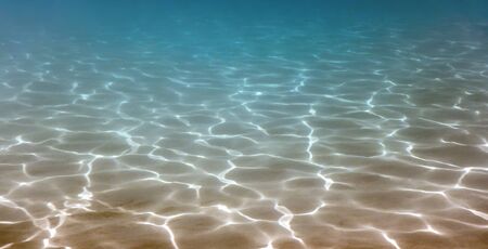 Underwater sandy bottom, wide Underwater panorama backgroundの写真素材