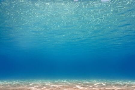 Sandy sea bottom Underwater backgroundの写真素材