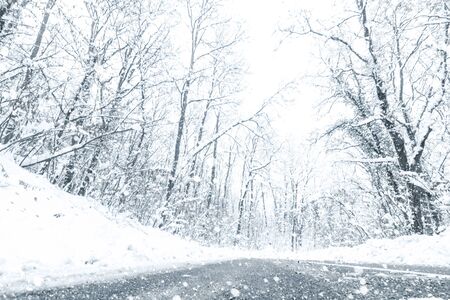 Winter forest snow road. Forest road winter snow view.の写真素材
