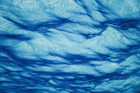 Underwater view of the sea surface.
