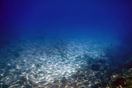 Underwater Scene Sunlight, fish Underwater Life.の写真素材