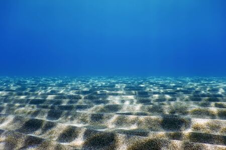 Underwater Blue Ocean, Sandy sea bottom Underwater backgroundの写真素材