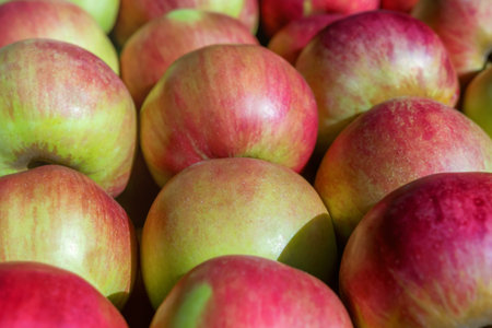 Red Ripe Apples Background