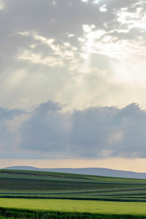 Green Fields on Small Hills Countryside White Clouds at Sunset Time