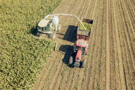 Agriculture cutting silage and filling trailer in field Aerial Viewの写真素材