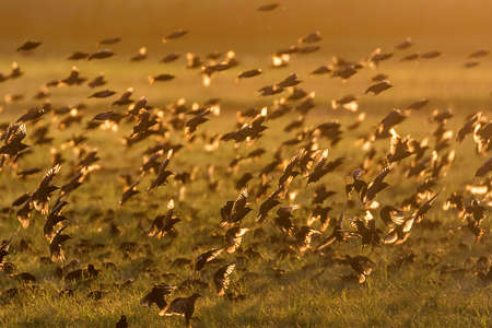 Milky Way Galaxy Background, Space Dust in the UniverseÂ の写真素材