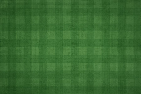 Green grass texture top view, sport background, Grass courtÂ pattern, soccer, football, rugby, golf, baseballの写真素材