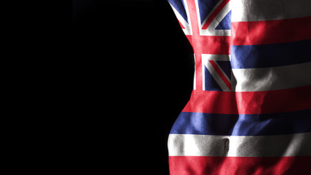 Hawaii flag on abs muscles, Hawaii bodybuilding concept, black backgroundの写真素材