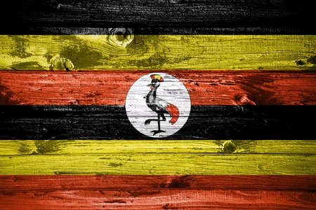 Uganda flag on wooden planks background wood flagの写真素材