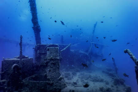 Wildlife at the ship wreck, Underwater world wildlifeの写真素材