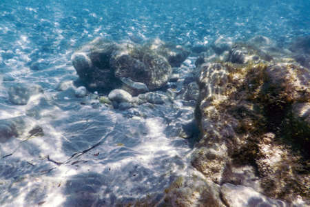 Underwater Scene Sunlight, fish Underwater Life.の写真素材