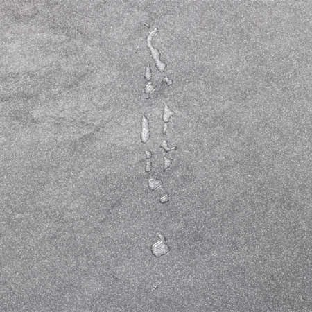 Map of Maldives, silver background, map backgroundの写真素材