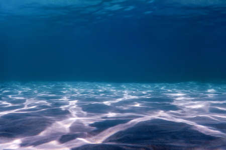 Sandy sea bottom Marine life, Underwater backgroundの写真素材