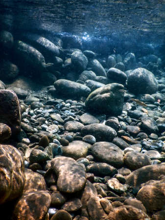 Rocks underwater on riverbed, rivers freshwater underwater, crystal clear water, pebbles on riverbedの写真素材