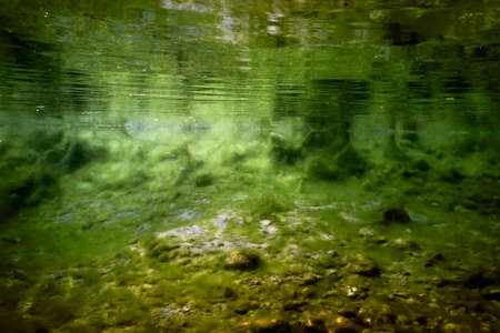Rocks underwater on riverbed covered with green algae, water qualityの写真素材