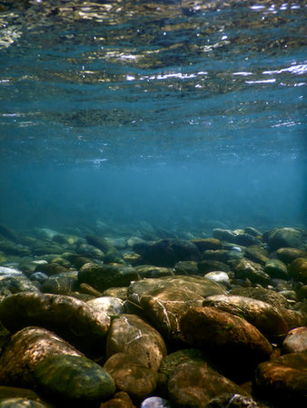 Rocks underwater on riverbed, rivers freshwater underwater, crystal clear water, pebbles on riverbedの写真素材