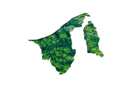 Green Forest Map of Brunei Darussalam, on white backgroundの写真素材