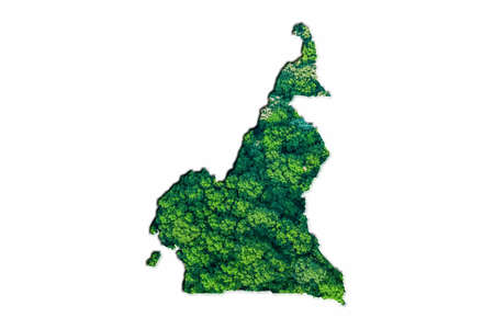 Green Forest Map of Cameroon, on white backgroundの写真素材