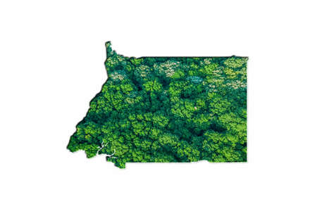Green Forest Map of Equatorial Guinea, on white backgroundの写真素材
