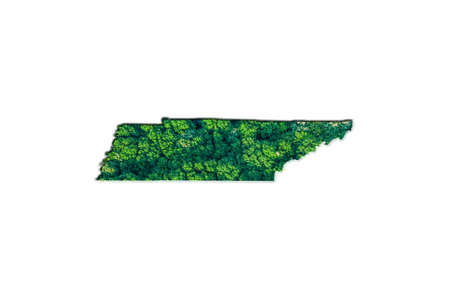 Green Forest Map of Tennessee, on white backgroundの写真素材