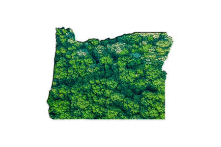 Green Forest Map of Oregon, on white backgroundの写真素材