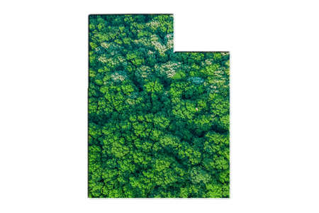 Green Forest Map of Utah, on white backgroundの写真素材