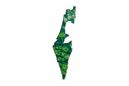 Green Forest Map of Israel, on white backgroundの写真素材