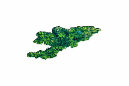 Green Forest Map of Kyrgyzstan, on white background