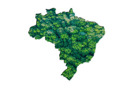 Green Forest Map of Brazil, on white backgroundの写真素材