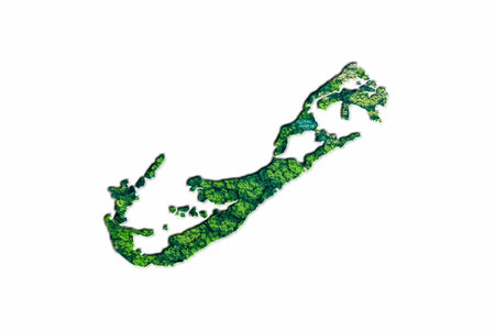 Green Forest Map of Bermuda, on white backgroundの写真素材