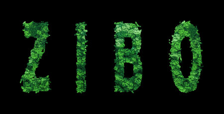Zibo lettering, Zibo Forest Ecology Concept on Black, Clipping Pathの写真素材
