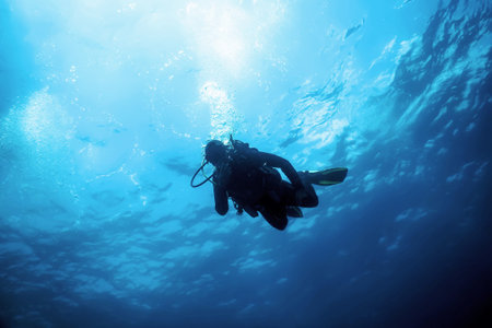 Scuba Diver Silhouettes Clear Blue Water
