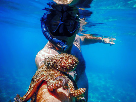 Close Encounter Man with Octopus, Animal Tourism Underwaterの写真素材