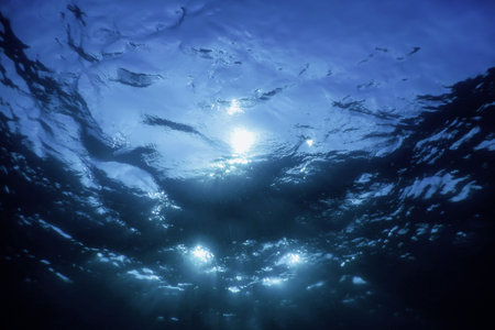 Underwater View of the Sea Surface